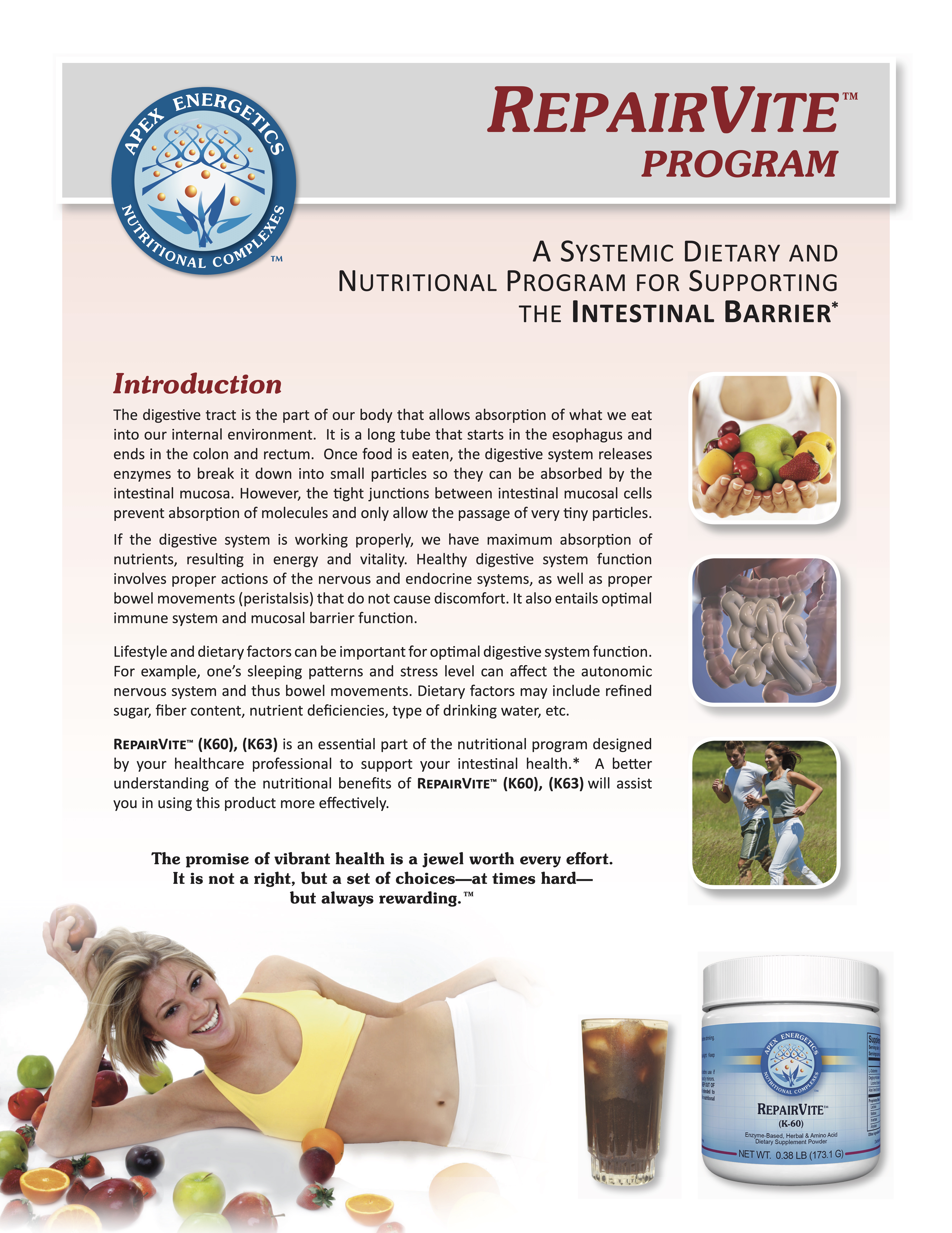 RepairVite-Brochure-Thumbnail RepairVite-Brochure-Thumbnail
